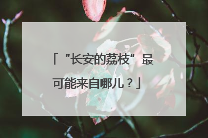 “长安的荔枝”最可能来自哪儿？